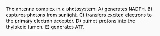 The antenna complex in a photosystem: A) generates NADPH. B) captures photons from sunlight. C) transfers excited electrons to the primary electron acceptor. D) pumps protons into the thylakoid lumen. E) generates ATP.