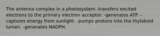 The antenna complex in a photosystem -transfers excited electrons to the primary electron acceptor. -generates ATP. -captures energy from sunlight. -pumps protons into the thylakoid lumen. -generates NADPH.