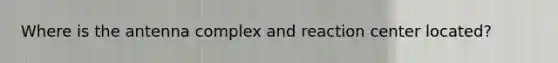 Where is the antenna complex and reaction center located?
