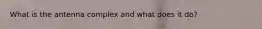 What is the antenna complex and what does it do?