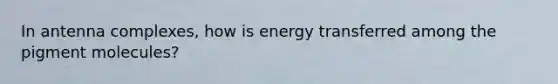 In antenna complexes, how is energy transferred among the pigment molecules?