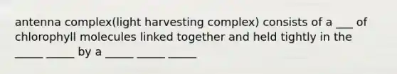 antenna complex(light harvesting complex) consists of a ___ of chlorophyll molecules linked together and held tightly in the _____ _____ by a _____ _____ _____