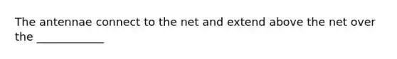 The antennae connect to the net and extend above the net over the ____________