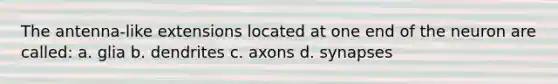 The antenna-like extensions located at one end of the neuron are called: a. glia b. dendrites c. axons d. synapses