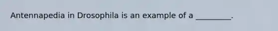 Antennapedia in Drosophila is an example of a _________.