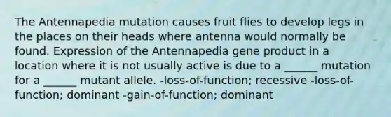 The Antennapedia mutation causes fruit flies to develop legs in the places on their heads where antenna would normally be found. Expression of the Antennapedia gene product in a location where it is not usually active is due to a ______ mutation for a ______ mutant allele. -loss-of-function; recessive -loss-of-function; dominant -gain-of-function; dominant