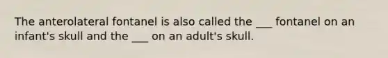 The anterolateral fontanel is also called the ___ fontanel on an infant's skull and the ___ on an adult's skull.