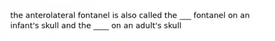 the anterolateral fontanel is also called the ___ fontanel on an infant's skull and the ____ on an adult's skull