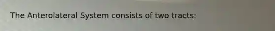 The Anterolateral System consists of two tracts: