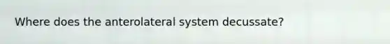 Where does the anterolateral system decussate?
