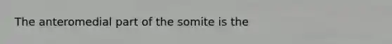 The anteromedial part of the somite is the