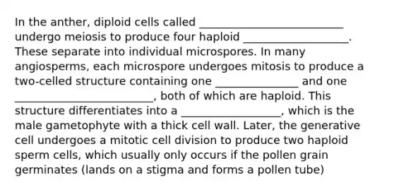 In the anther, diploid cells called __________________________ undergo meiosis to produce four haploid ___________________. These separate into individual microspores. In many angiosperms, each microspore undergoes mitosis to produce a two-celled structure containing one _______________ and one _________________________, both of which are haploid. This structure differentiates into a __________________, which is the male gametophyte with a thick cell wall. Later, the generative cell undergoes a mitotic <a href='https://www.questionai.com/knowledge/kjHVAH8Me4-cell-division' class='anchor-knowledge'>cell division</a> to produce two haploid sperm cells, which usually only occurs if the pollen grain germinates (lands on a stigma and forms a pollen tube)