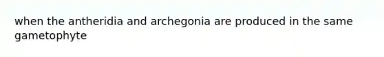 when the antheridia and archegonia are produced in the same gametophyte