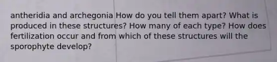 antheridia and archegonia How do you tell them apart? What is produced in these structures? How many of each type? How does fertilization occur and from which of these structures will the sporophyte develop?