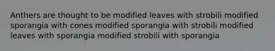 Anthers are thought to be modified leaves with strobili modified sporangia with cones modified sporangia with strobili modified leaves with sporangia modified strobili with sporangia