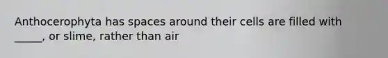 Anthocerophyta has spaces around their cells are filled with _____, or slime, rather than air