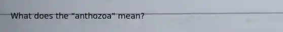 What does the "anthozoa" mean?
