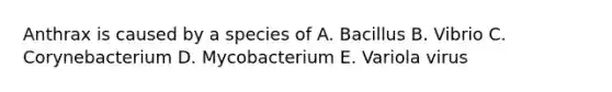 Anthrax is caused by a species of A. Bacillus B. Vibrio C. Corynebacterium D. Mycobacterium E. Variola virus