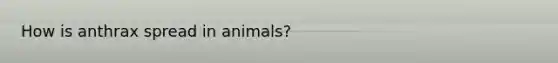 How is anthrax spread in animals?