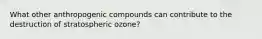 What other anthropogenic compounds can contribute to the destruction of stratospheric ozone?