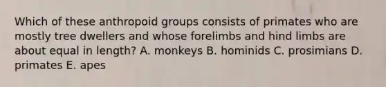 Which of these anthropoid groups consists of primates who are mostly tree dwellers and whose forelimbs and hind limbs are about equal in length? A. monkeys B. hominids C. prosimians D. primates E. apes