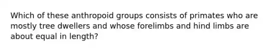 Which of these anthropoid groups consists of primates who are mostly tree dwellers and whose forelimbs and hind limbs are about equal in length?