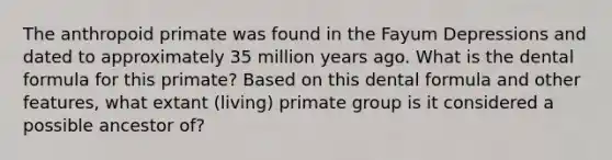 The anthropoid primate was found in the Fayum Depressions and dated to approximately 35 million years ago. What is the dental formula for this primate? Based on this dental formula and other features, what extant (living) primate group is it considered a possible ancestor of?