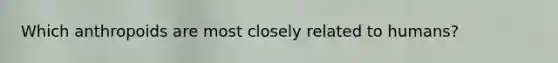 Which anthropoids are most closely related to humans?