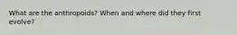 What are the anthropoids? When and where did they first evolve?
