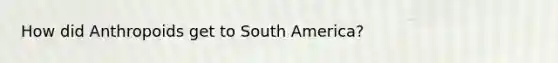 How did Anthropoids get to South America?