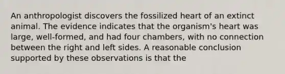 An anthropologist discovers the fossilized heart of an extinct animal. The evidence indicates that the organism's heart was large, well-formed, and had four chambers, with no connection between the right and left sides. A reasonable conclusion supported by these observations is that the