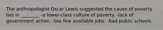 The anthropologist Oscar Lewis suggested the cause of poverty lies in ________ -a lower-class culture of poverty. -lack of government action. -too few available jobs. -bad public schools.