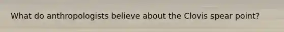 What do anthropologists believe about the Clovis spear point?