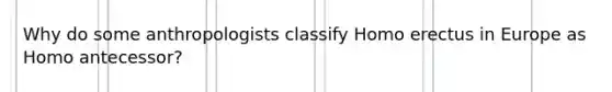 Why do some anthropologists classify Homo erectus in Europe as Homo antecessor?