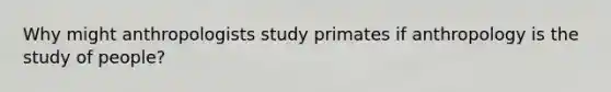 Why might anthropologists study primates if anthropology is the study of people?