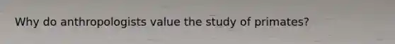 Why do anthropologists value the study of primates?