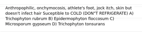 Anthropophilic, onchymocosis, athlete's foot, jock itch, skin but doesn't infect hair Suceptible to COLD (DON"T REFRIGERATE) A) Trichophyton rubrum B) Epidermophyton floccosum C) Microsporum gypseum D) Trichophyton tonsurans