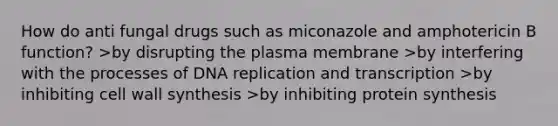 How do anti fungal drugs such as miconazole and amphotericin B function? >by disrupting the plasma membrane >by interfering with the processes of <a href='https://www.questionai.com/knowledge/kofV2VQU2J-dna-replication' class='anchor-knowledge'>dna replication</a> and transcription >by inhibiting cell wall synthesis >by inhibiting <a href='https://www.questionai.com/knowledge/kVyphSdCnD-protein-synthesis' class='anchor-knowledge'>protein synthesis</a>