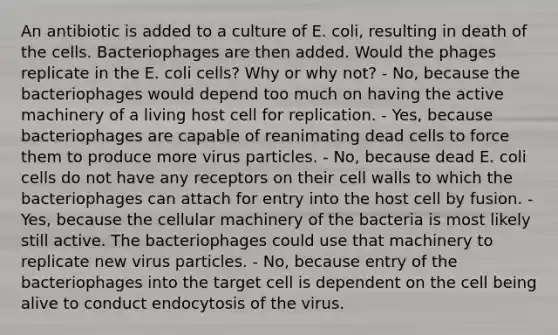 An antibiotic is added to a culture of E. coli, resulting in death of the cells. Bacteriophages are then added. Would the phages replicate in the E. coli cells? Why or why not? - No, because the bacteriophages would depend too much on having the active machinery of a living host cell for replication. - Yes, because bacteriophages are capable of reanimating dead cells to force them to produce more virus particles. - No, because dead E. coli cells do not have any receptors on their cell walls to which the bacteriophages can attach for entry into the host cell by fusion. - Yes, because the cellular machinery of the bacteria is most likely still active. The bacteriophages could use that machinery to replicate new virus particles. - No, because entry of the bacteriophages into the target cell is dependent on the cell being alive to conduct endocytosis of the virus.