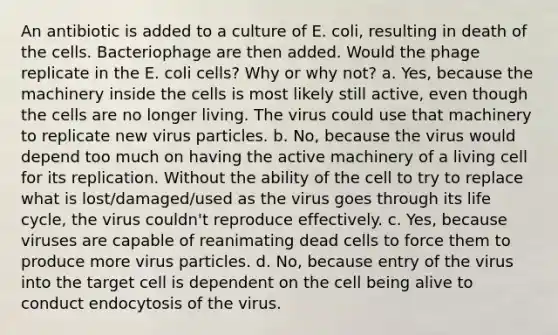 An antibiotic is added to a culture of E. coli, resulting in death of the cells. Bacteriophage are then added. Would the phage replicate in the E. coli cells? Why or why not? a. Yes, because the machinery inside the cells is most likely still active, even though the cells are no longer living. The virus could use that machinery to replicate new virus particles. b. No, because the virus would depend too much on having the active machinery of a living cell for its replication. Without the ability of the cell to try to replace what is lost/damaged/used as the virus goes through its life cycle, the virus couldn't reproduce effectively. c. Yes, because viruses are capable of reanimating dead cells to force them to produce more virus particles. d. No, because entry of the virus into the target cell is dependent on the cell being alive to conduct endocytosis of the virus.