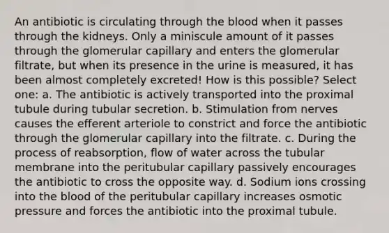 An antibiotic is circulating through the blood when it passes through the kidneys. Only a miniscule amount of it passes through the glomerular capillary and enters the glomerular filtrate, but when its presence in the urine is measured, it has been almost completely excreted! How is this possible? Select one: a. The antibiotic is actively transported into the proximal tubule during tubular secretion. b. Stimulation from nerves causes the efferent arteriole to constrict and force the antibiotic through the glomerular capillary into the filtrate. c. During the process of reabsorption, flow of water across the tubular membrane into the peritubular capillary passively encourages the antibiotic to cross the opposite way. d. Sodium ions crossing into the blood of the peritubular capillary increases osmotic pressure and forces the antibiotic into the proximal tubule.