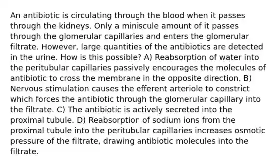 An antibiotic is circulating through the blood when it passes through the kidneys. Only a miniscule amount of it passes through the glomerular capillaries and enters the glomerular filtrate. However, large quantities of the antibiotics are detected in the urine. How is this possible? A) Reabsorption of water into the peritubular capillaries passively encourages the molecules of antibiotic to cross the membrane in the opposite direction. B) Nervous stimulation causes the efferent arteriole to constrict which forces the antibiotic through the glomerular capillary into the filtrate. C) The antibiotic is actively secreted into the proximal tubule. D) Reabsorption of sodium ions from the proximal tubule into the peritubular capillaries increases osmotic pressure of the filtrate, drawing antibiotic molecules into the filtrate.