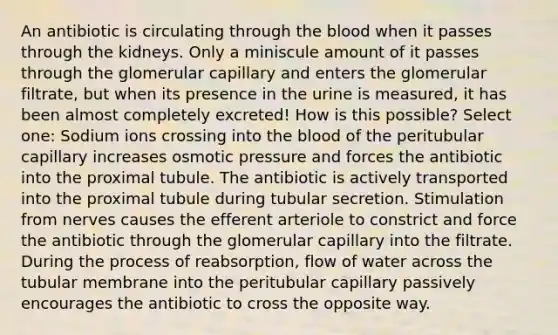 An antibiotic is circulating through <a href='https://www.questionai.com/knowledge/k7oXMfj7lk-the-blood' class='anchor-knowledge'>the blood</a> when it passes through the kidneys. Only a miniscule amount of it passes through the glomerular capillary and enters the glomerular filtrate, but when its presence in the urine is measured, it has been almost completely excreted! How is this possible? Select one: Sodium ions crossing into the blood of the peritubular capillary increases osmotic pressure and forces the antibiotic into the proximal tubule. The antibiotic is actively transported into the proximal tubule during tubular secretion. Stimulation from nerves causes the efferent arteriole to constrict and force the antibiotic through the glomerular capillary into the filtrate. During the process of reabsorption, flow of water across the tubular membrane into the peritubular capillary passively encourages the antibiotic to cross the opposite way.