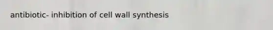 antibiotic- inhibition of cell wall synthesis