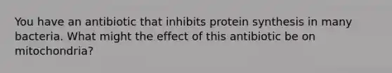 You have an antibiotic that inhibits protein synthesis in many bacteria. What might the effect of this antibiotic be on mitochondria?