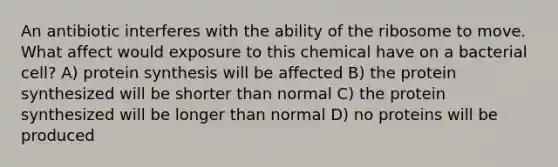 An antibiotic interferes with the ability of the ribosome to move. What affect would exposure to this chemical have on a bacterial cell? A) protein synthesis will be affected B) the protein synthesized will be shorter than normal C) the protein synthesized will be longer than normal D) no proteins will be produced