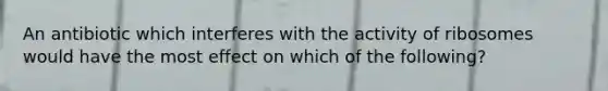 An antibiotic which interferes with the activity of ribosomes would have the most effect on which of the following?