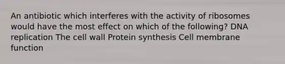 An antibiotic which interferes with the activity of ribosomes would have the most effect on which of the following? DNA replication The cell wall Protein synthesis Cell membrane function