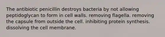 The antibiotic penicillin destroys bacteria by not allowing peptidoglycan to form in cell walls. removing flagella. removing the capsule from outside the cell. inhibiting protein synthesis. dissolving the cell membrane.