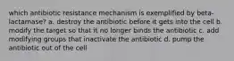 which antibiotic resistance mechanism is exemplified by beta-lactamase? a. destroy the antibiotic before it gets into the cell b. modify the target so that it no longer binds the antibiotic c. add modifying groups that inactivate the antibiotic d. pump the antibiotic out of the cell